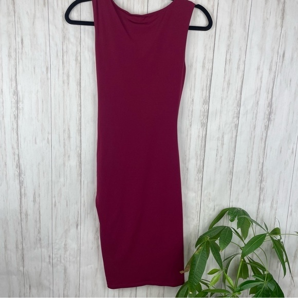 Anthropologie Velvet by Graham & Spencer raspberry dress - Picture 5 of 5